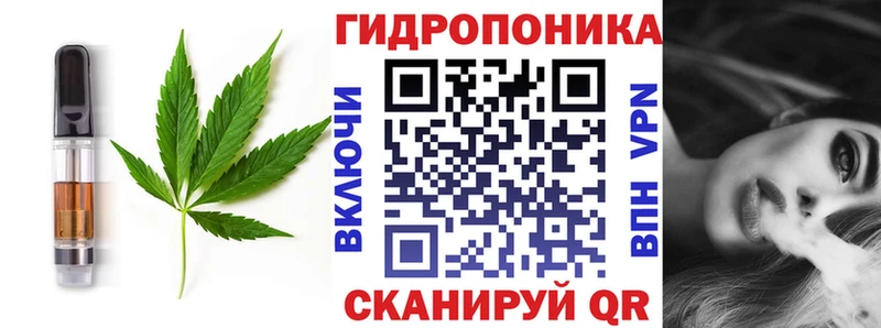 закладка Мураши сайты даркнета формула Cannafood конопля