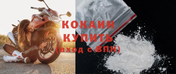 дживик Осинники