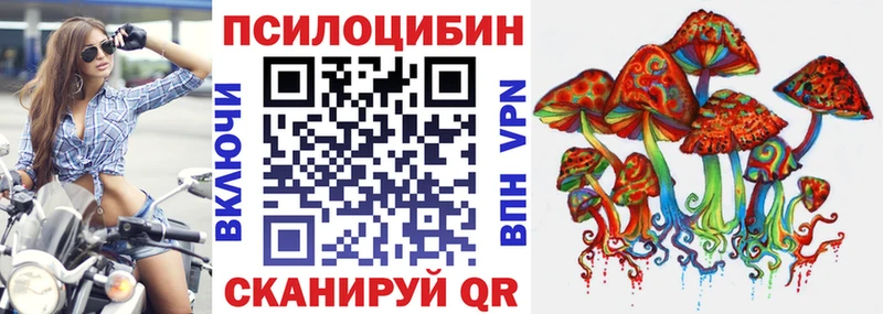 Галлюциногенные грибы Cubensis  где найти наркотики  Мураши 