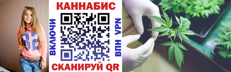 купить наркотик Мураши mega ССЫЛКА Бошки марихуана гибрид